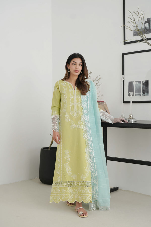 PISTACHIO EMBROIDERED LAWN SET EID UL AZHA ‘24 NEL-24620 Zaib