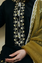 ARZOO-1B Zara Shahjahan